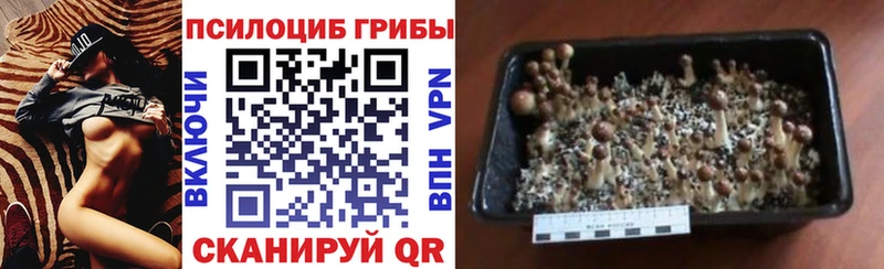 Галлюциногенные грибы ЛСД  shop официальный сайт  Усть-Катав 